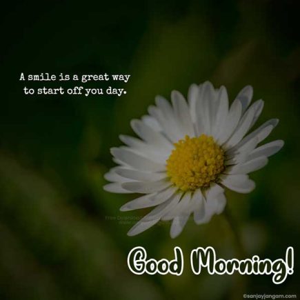 Good Morning Quotes in English | 1200+ Good Morning Wishes in English