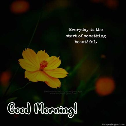 Good Morning Quotes in English | 1200+ Good Morning Wishes in English