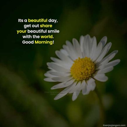 Good Morning Messages | 1200+ Good Morning Text Messages