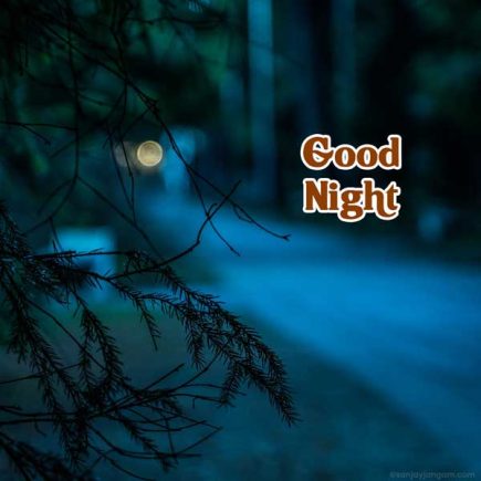 Good Night Images | 1150+ Good Night Photo & Good Night Gif