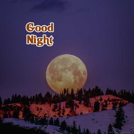 Good Night Images | 1200+ Good Night Photo & Good Night Gif